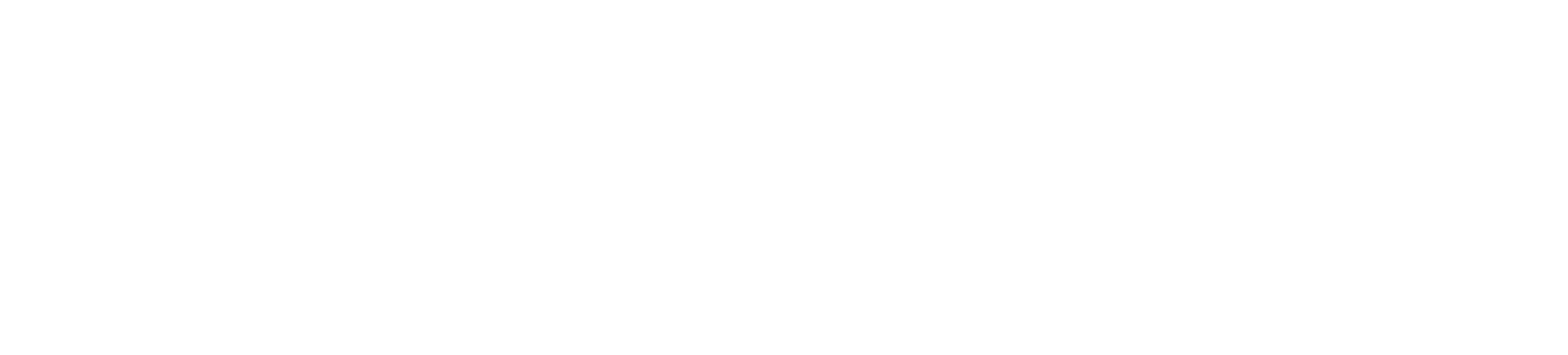 SRH University